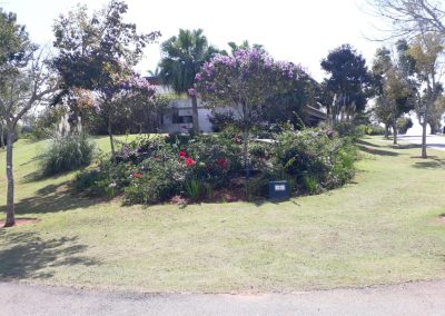 Adubação do solo e uso de biofertilizantes